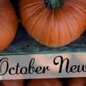 Barrels & Bins October Newsletter!